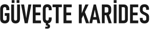GÜVEÇTE KARİDES